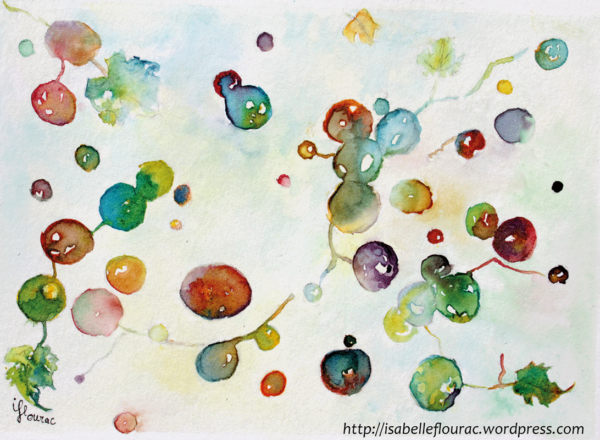 Du vent dans les vignes, dessin de grappes s'envolant, encres de couleur, Isabelle Flourac