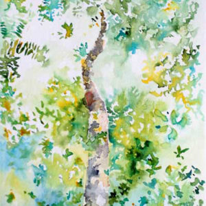 Un arbre dans la jungle, Dessin à l'encre, Isabelle Flourac. Dessin inspiré par la forêt du Taman Negara en Malaisie